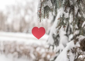 Horoscop februarie