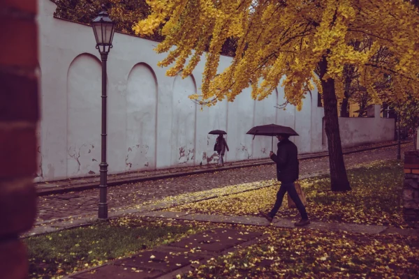 Prognoza meteo